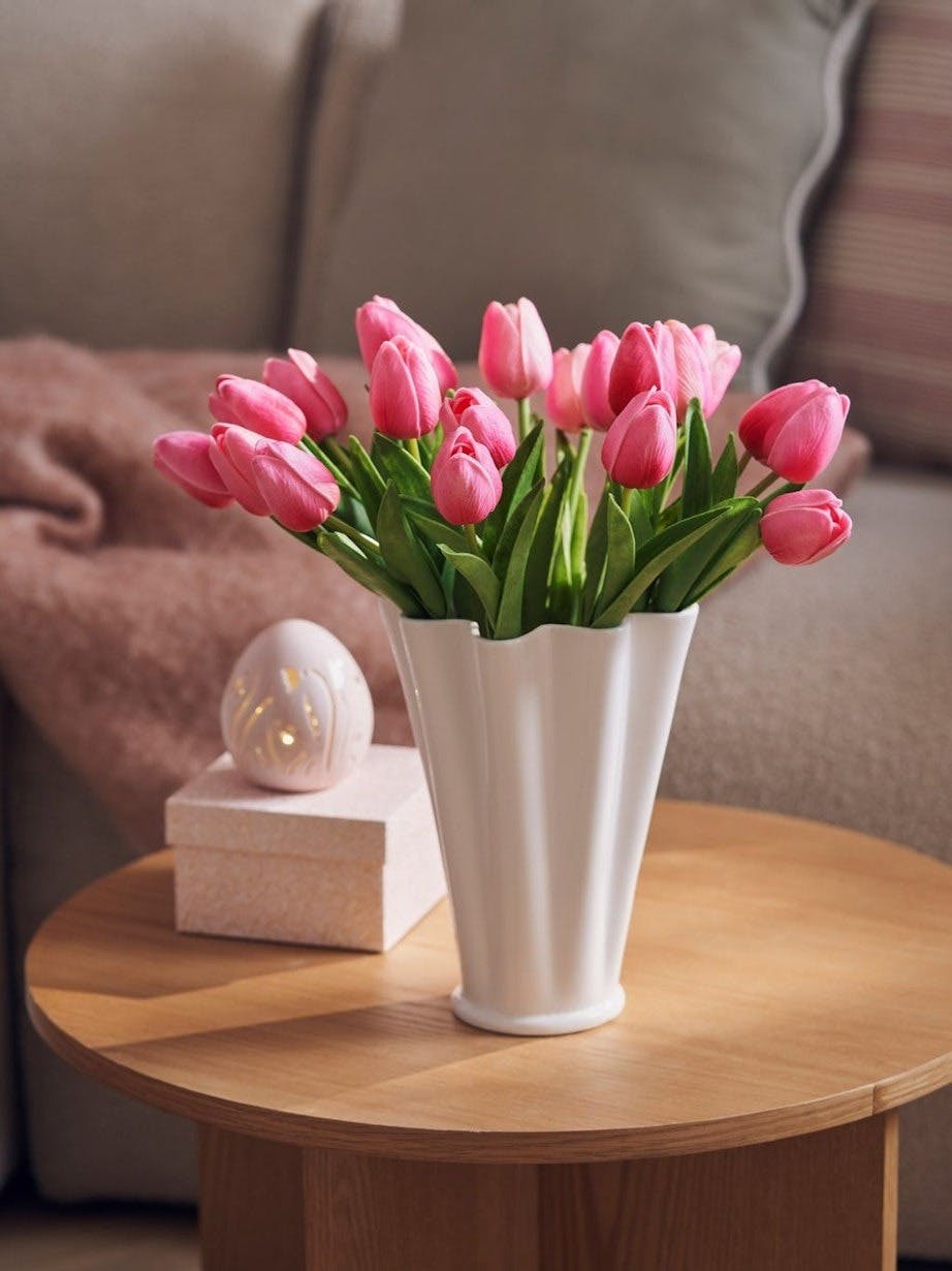 Tulipaner søstrene grene Tulipaner søstrene grene